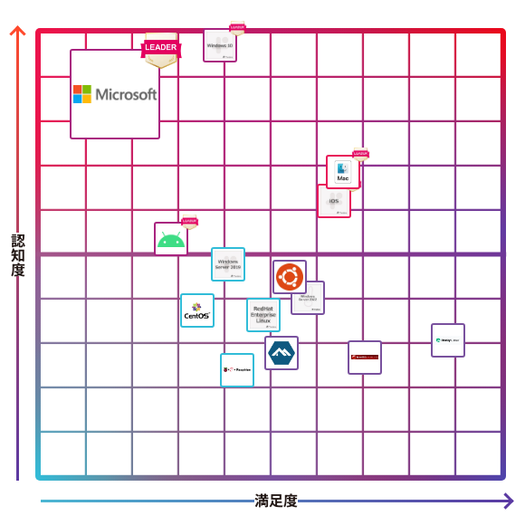 Windows 11